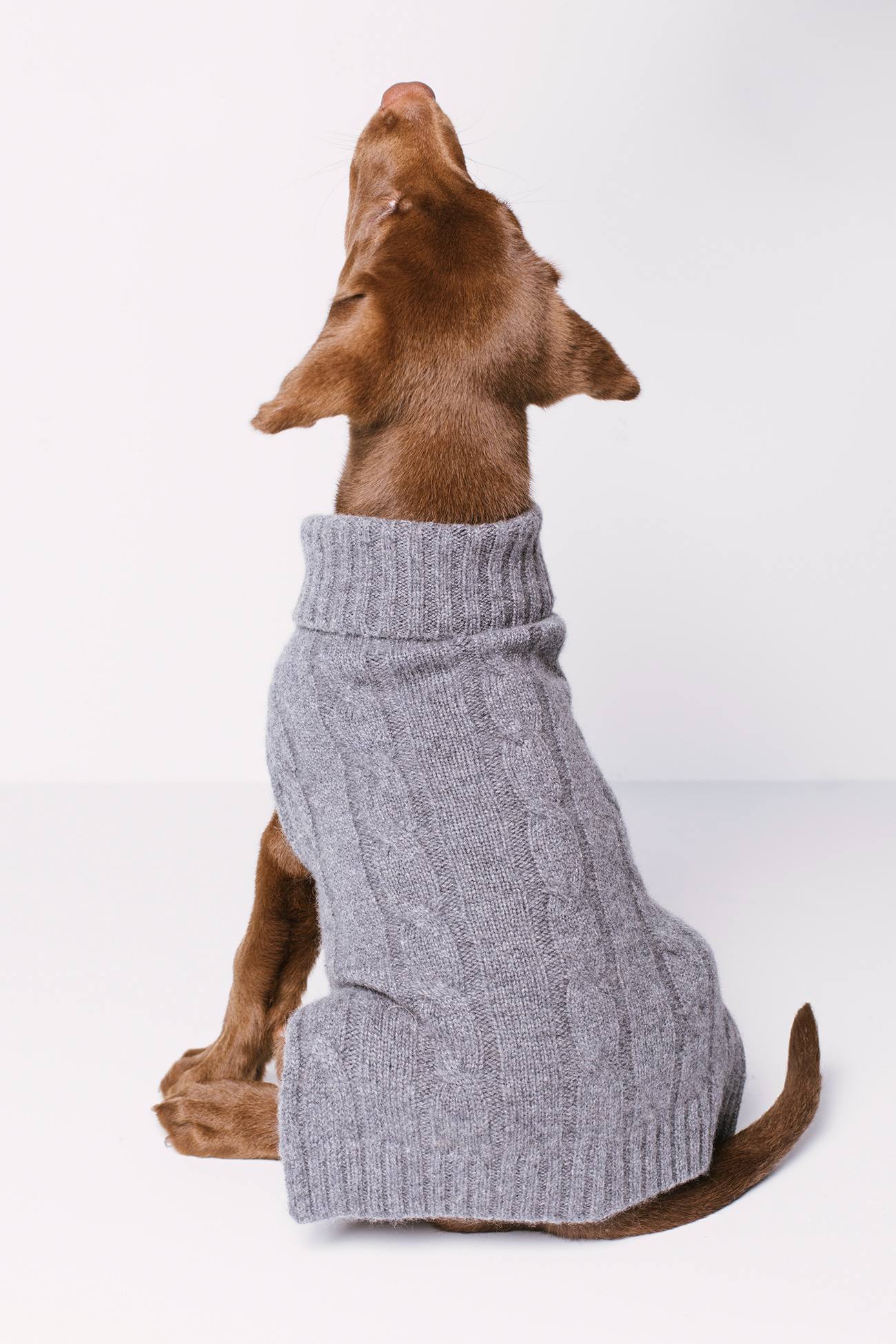 CABLE DOG SWEATER - Image 14