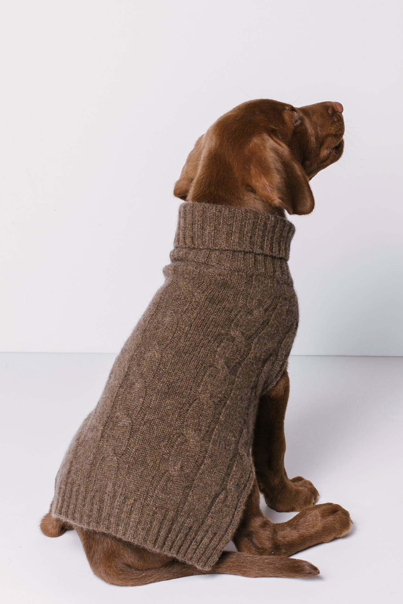 CABLE DOG SWEATER - Image 20