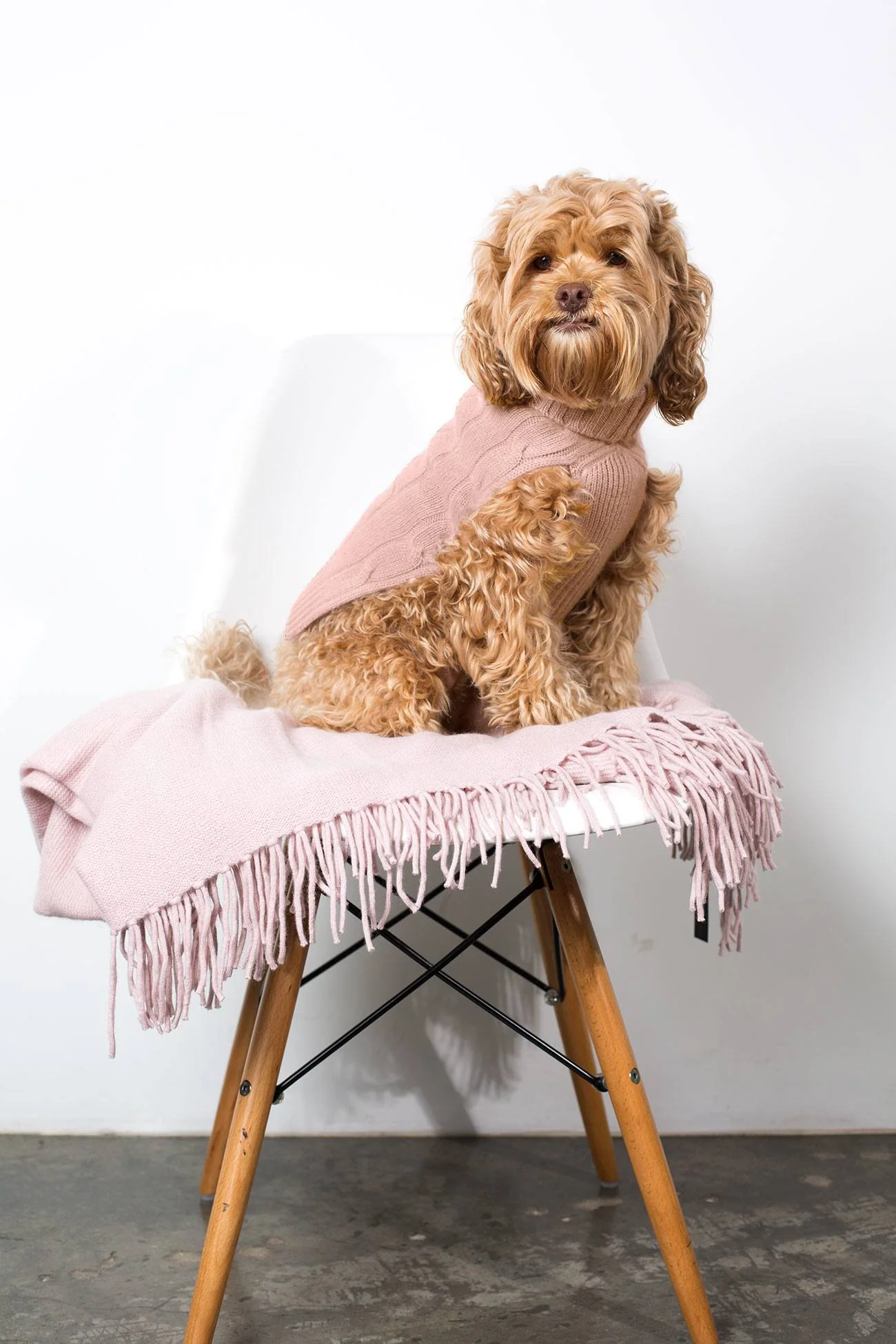 CABLE DOG SWEATER - Image 29