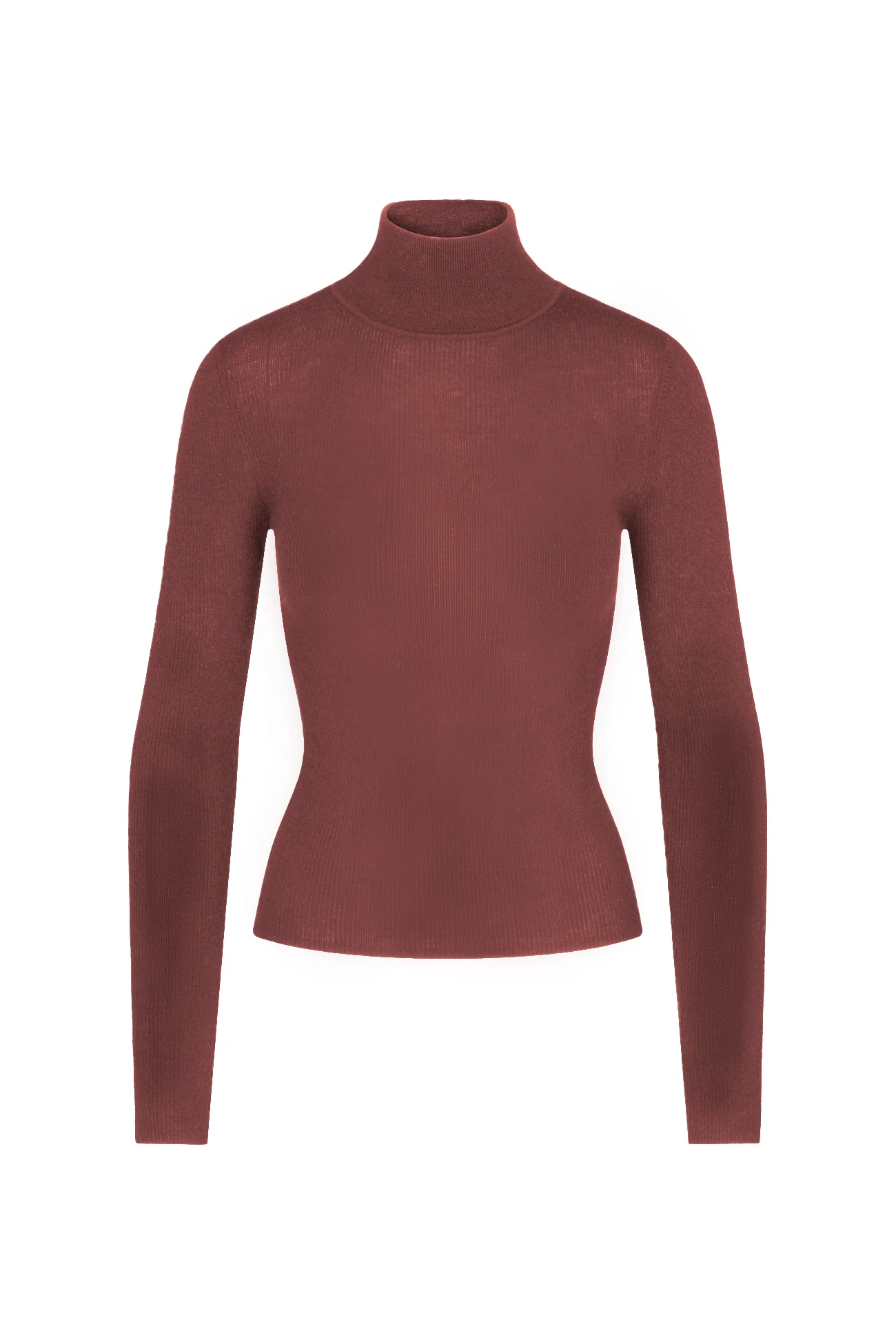 RUMER FITTED CASHMERE TURTLENECK - Image 24
