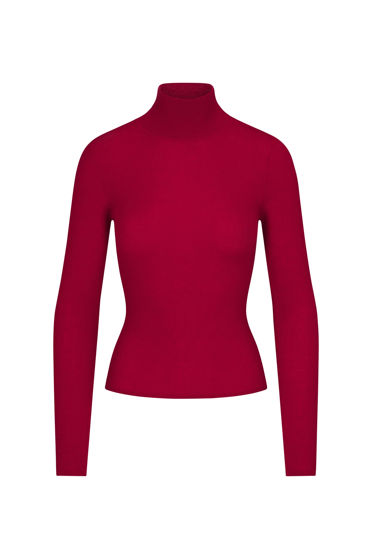 RUMER FITTED CASHMERE TURTLENECK - Image 35